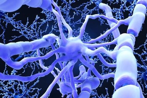 118094079_10220653622723786_5429124761603470149_n