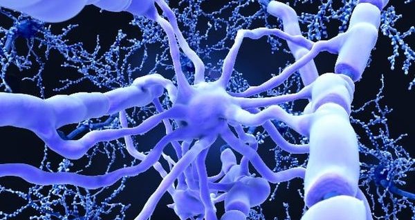 118094079_10220653622723786_5429124761603470149_n