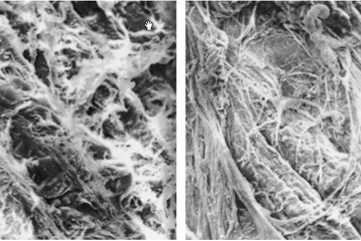 120813602_10220931453029370_2581108927611175796_n (1)