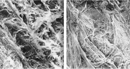 120813602_10220931453029370_2581108927611175796_n (1)