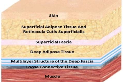 121421946_10221014047654184_2284224948874637662_n