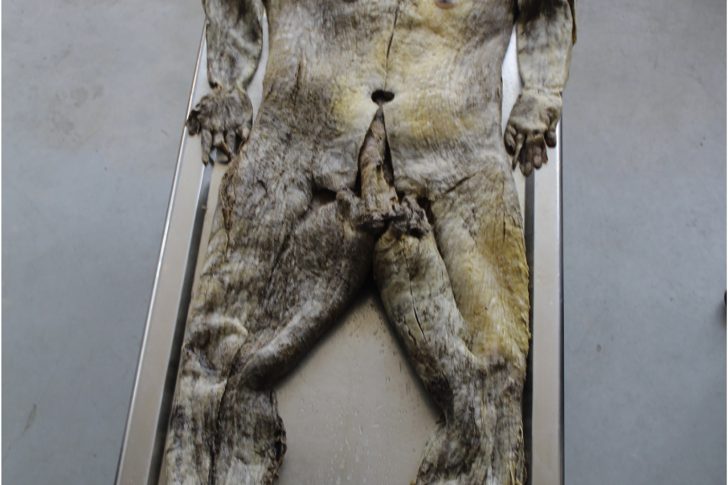 yjbmt_1749_gr1_3c_pdf